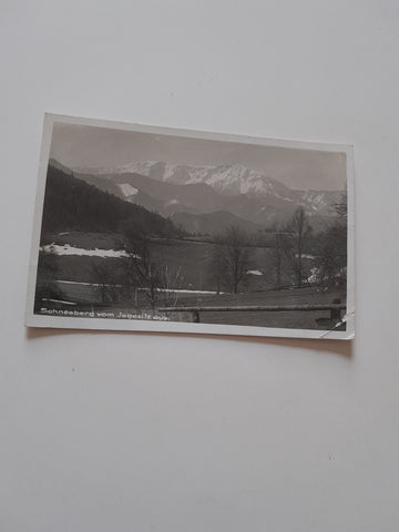 AK Schneeberg vom Jagasitz aus. (1930)