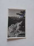 AK Schneeberg von d. Kl. Kanzel. Hohe Wand.