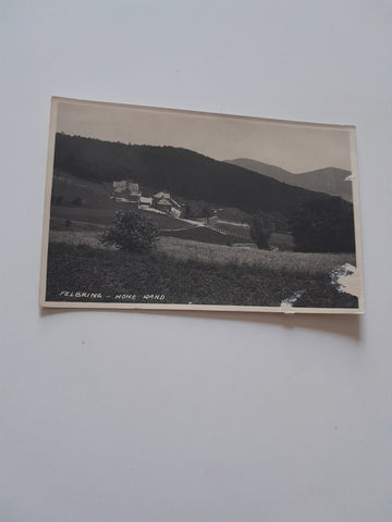AK Felbring - Hohe Wand.