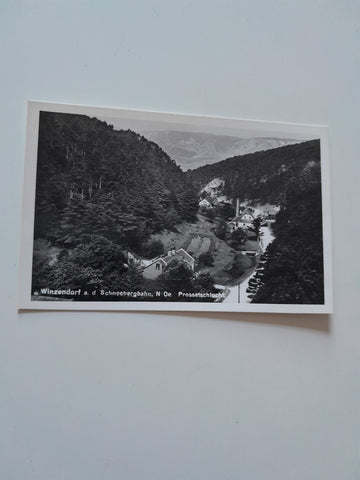 AK Winzendorf an der Schneebergbahn. Prossetschlucht (1959)