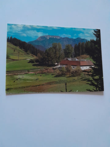 AK Rohr im Gebirge. Alpengasthof Zur Kalten Kuchl mit Blick auf Schneeberg.
