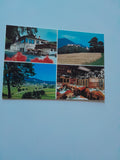 AK Dreistetten. Gasthof Pension Scherrerwirt. Susanne Hager.