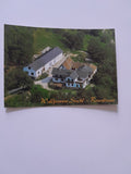 AK Hochwolkersdorf. Pension Stachl. Rosenbrunn.