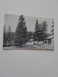 AK Gutenstein, Klostertal 65. Berggasthaus Maumauwiese. Friedrich Wilsch.