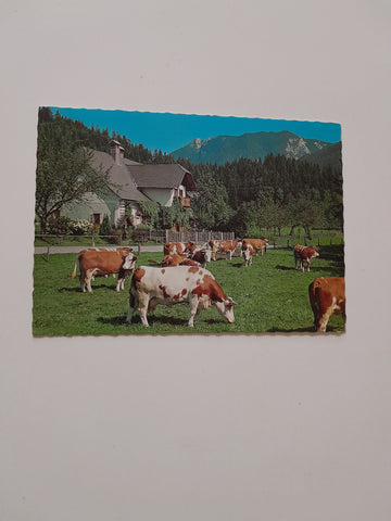 AK Lunz am See. Urlaub am Bauernhof Familie Anna und Alois Gansterer.
