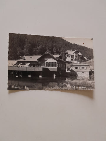 AK Am Lunzersee.