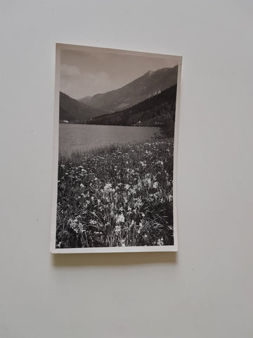 AK Lunzersee.