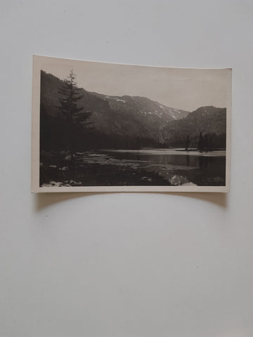 AK Obersee mit Dürrenstein bei Lunz.