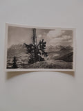 AK Tennengebirge vom Hochgründeckhaus der Sektion Ybbstaler des D. u. Ö. A.V.
