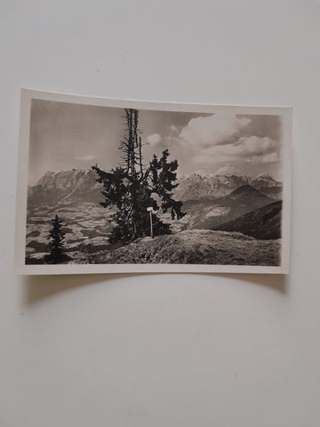 AK Tennengebirge vom Hochgründeckhaus der Sektion Ybbstaler des D. u. Ö. A.V.