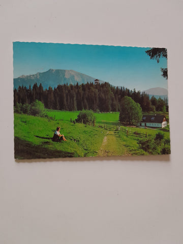 AK Naturpark Ötscher - Tormäuer. Almhaus Hochberneck.
