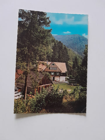 AK Schwarzenbach an der Pielach. Alpenheim Staudachhof.