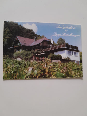 AK Mödling. Prießnitztal. Familie S. Katzlberger.