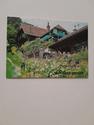 AK Mödling. Prießnitztal. Familie S. Katzlberger.