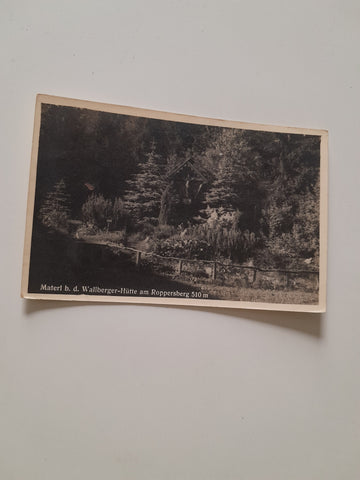 AK Materl b.d. Wallberger Hütte am Roppersberg.