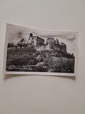 AK Markt Falkenstein. Ruine.