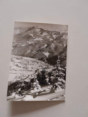 AK Blick vom Eibel zur Hinteralpe. Türnitz.
