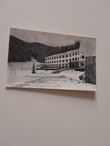 AK Ramsau bei Hainfeld. Urlaubsheim Annental.