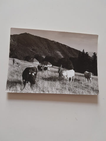 AK Lilienfeld. Klosteralm.