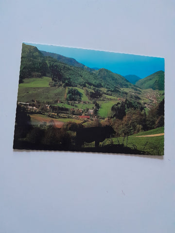 AK Salzerbad. Kleinzell bei Hainfeld. Evangelische Erholungsheime.