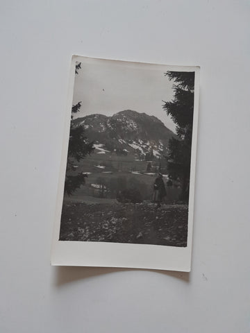 AK Kleinzell. Ebenwald.