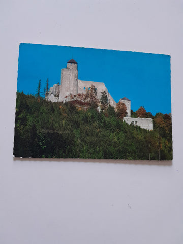 AK Ruine Araburg bei Kaumberg.