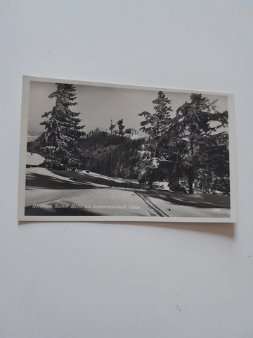 AK Hermann Rudolf Hütte am Schwarzwaldeck. (1929)