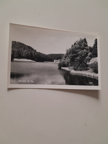 AK Ödteich.
