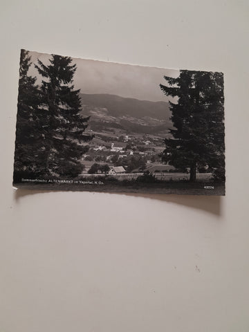 AK Altenmarkt im Yspertal. (1956)