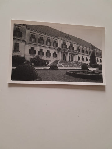 AK Schloß Loosdorf.