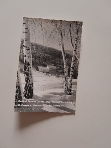 AK St. Corona am Wechsel. Gasthof Pension Gruber Berg-Ödenhof.
