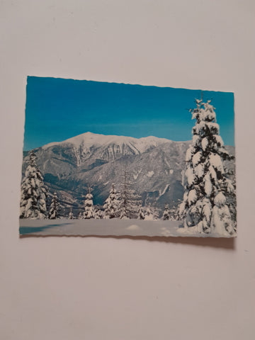 AK Blick vom Schneeberg.