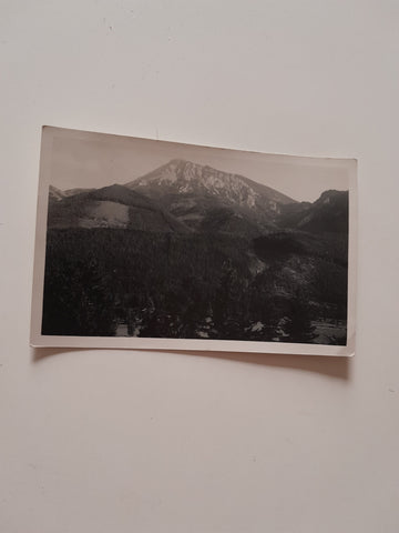 AK Vois. Motiv mit Hochschneeberg.
