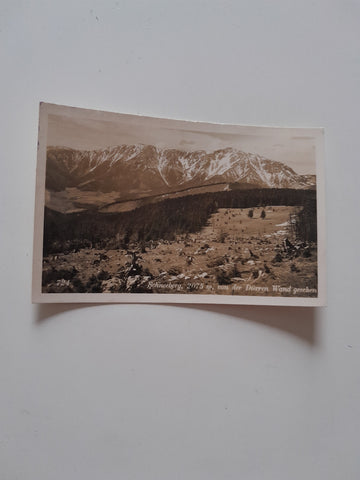AK Schneeberg von der Dürren Wand gesehen. (1941)