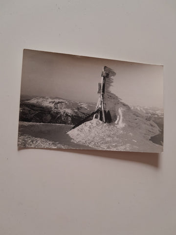 AK Schneeberg. Klosterwappen gegen Rax.