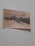 AK Schneeberg. Klosterwappen mit Rax.