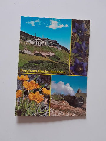 AK Berghaus Hochschneeberg.