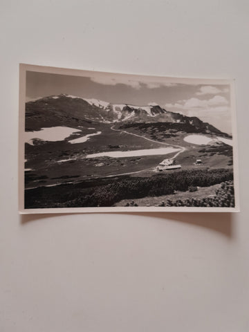 AK Schneeberg, Ochsenboden mit Damböckhaus und Weg zur Fischerhütte.