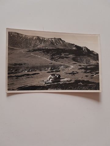 AK Schneeberg Ochsenboden mit Damböckhaus und Weg zur Fischerhütte.