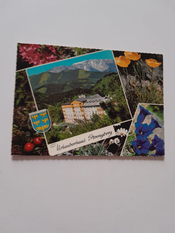 AK Puchberg am Schneeberg. Urlauberhaus Strengberg.