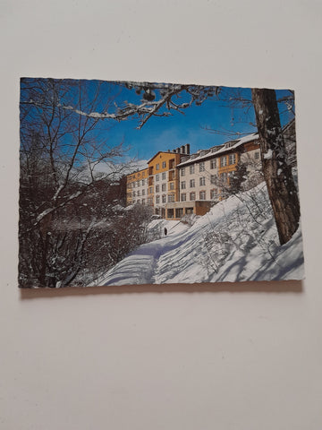 AK Puchberg am Schneeberg. Urlauberhaus Strengberg.