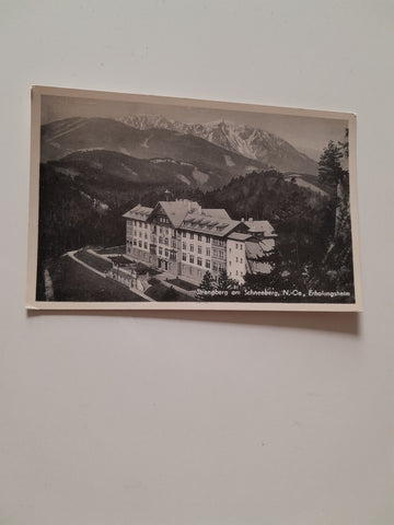 AK Puchberg am Schneeberg. Strengberg Erholungsheim.