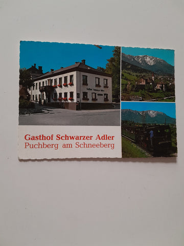 AK Puchberg am Schneeberg. Gasthof Schwarzer Adler. Friederike Weis Grill.
