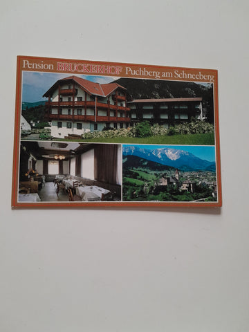 AK Puchberg am Schneeberg. Pension Bruckerhof.