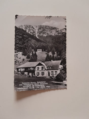 AK Puchberg am Schneeberg. Restaurant Pension Gschaiderhof. bes. Friedrich u. Helga Gschaider. Losenheimerstraße 28.