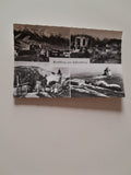 AK Puchberg am Schneeberg. (1967)
