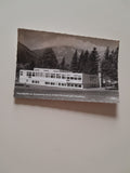 AK Puchberg am Schneeberg. Kurmittelhaus (1965)