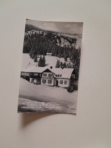 AK Puchberg am Schneeberg. Gastwirtschaft Pension Gschaiderhof. Bes. Friedrich u. Helga Gschaider.