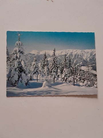 AK Blick zur Raxalpe.