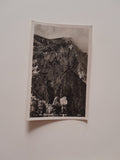 AK Rax. Wildfärte Ausstieg, Gamseck. (1936)